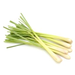 Citronnelle - Botte