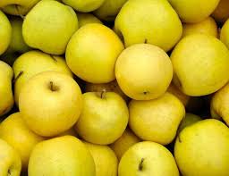 Pomme Golden Provenance France au Kg