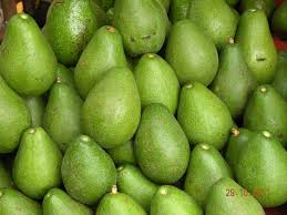 Avocat Provenance Saint-Domingue au Kg