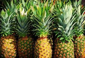 Ananas Golden 7/8 Provenance US