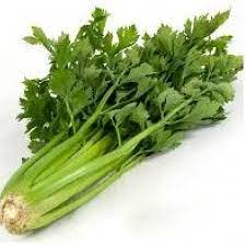 CELERY BRANCH - KG 