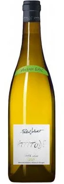 Sauvignon Attitude / Pascal Jolivet  BIO - 2023 - 75cl